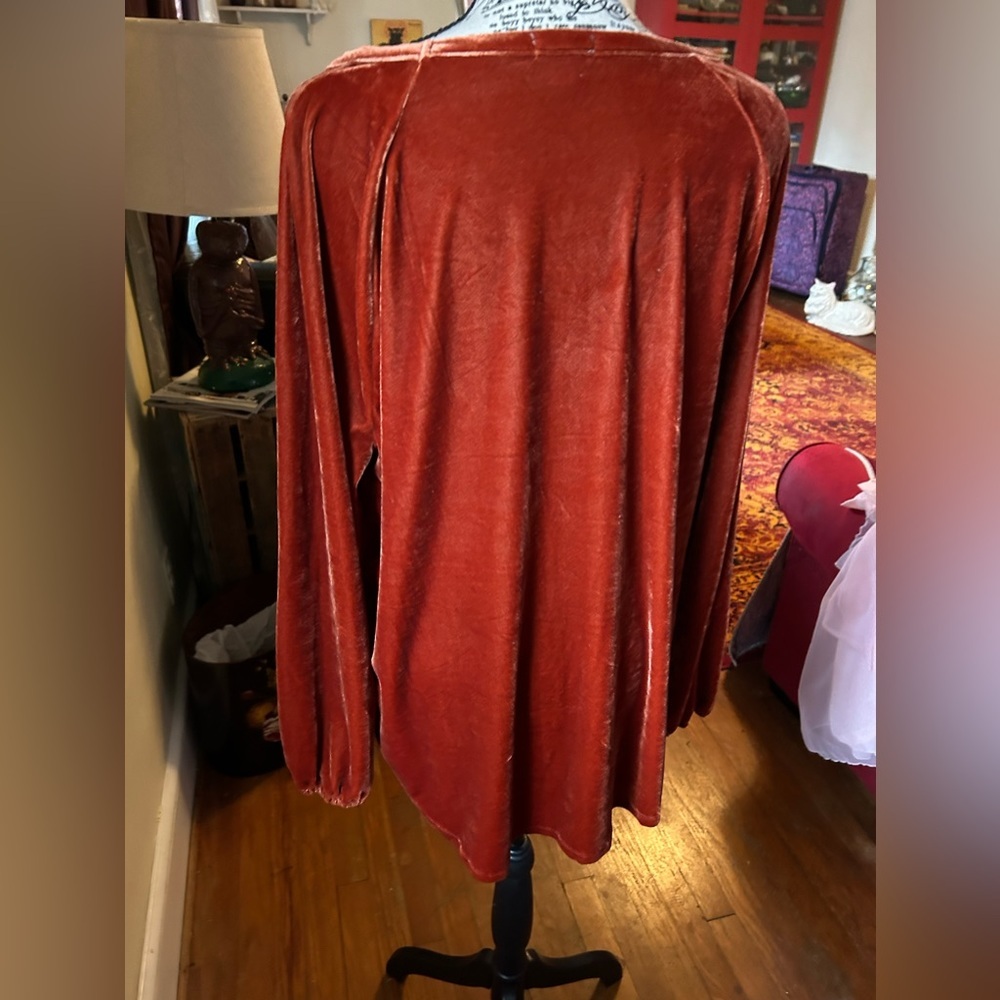 Dylan Rust Velvet Tunic - Picture 5 of 7